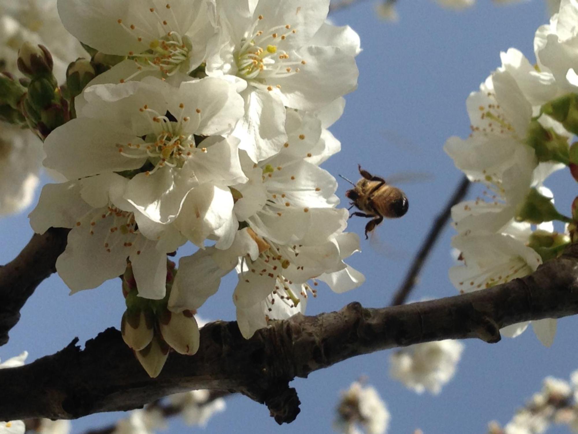 Agriturismo Serra Moneta Santo Stefano Quisquina 外观 照片