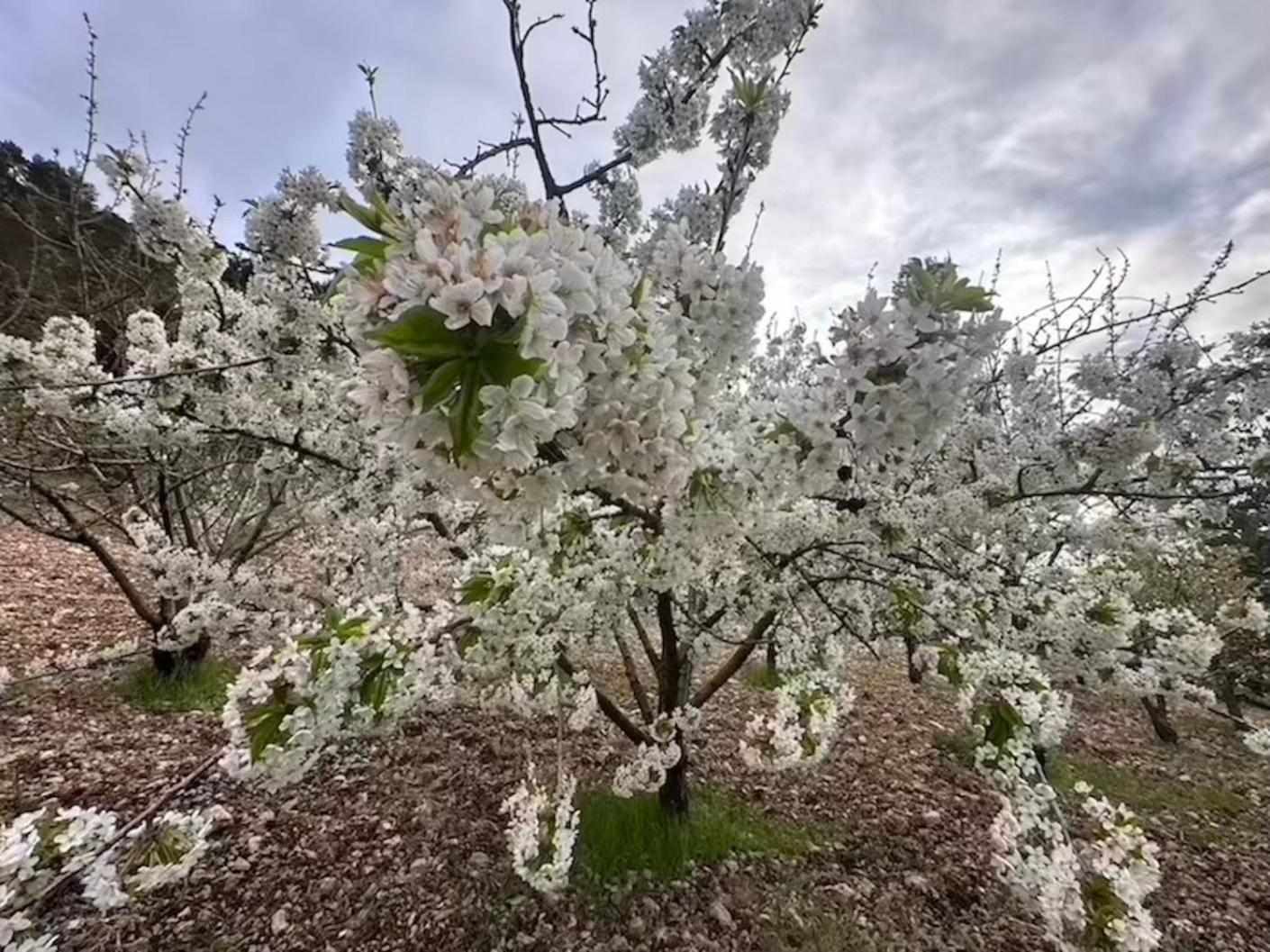 Agriturismo Serra Moneta Santo Stefano Quisquina 外观 照片