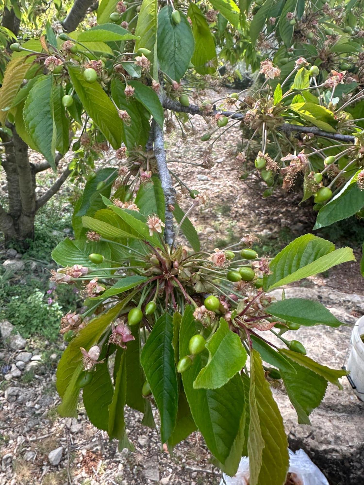 Agriturismo Serra Moneta Santo Stefano Quisquina 外观 照片