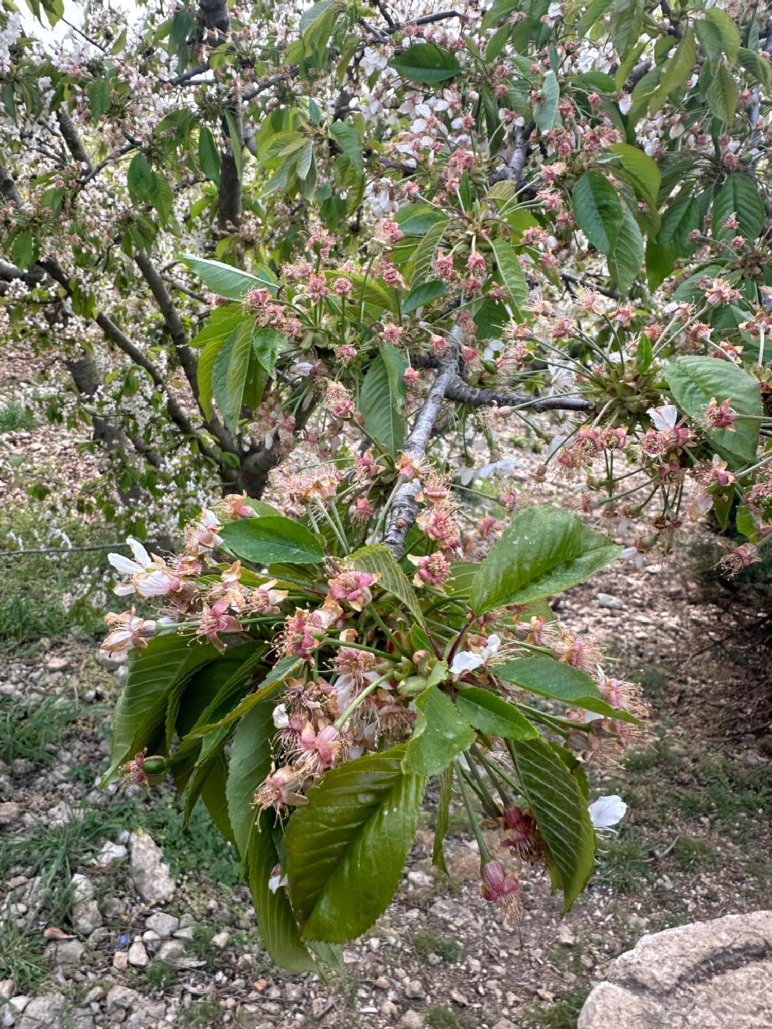 Agriturismo Serra Moneta Santo Stefano Quisquina 外观 照片