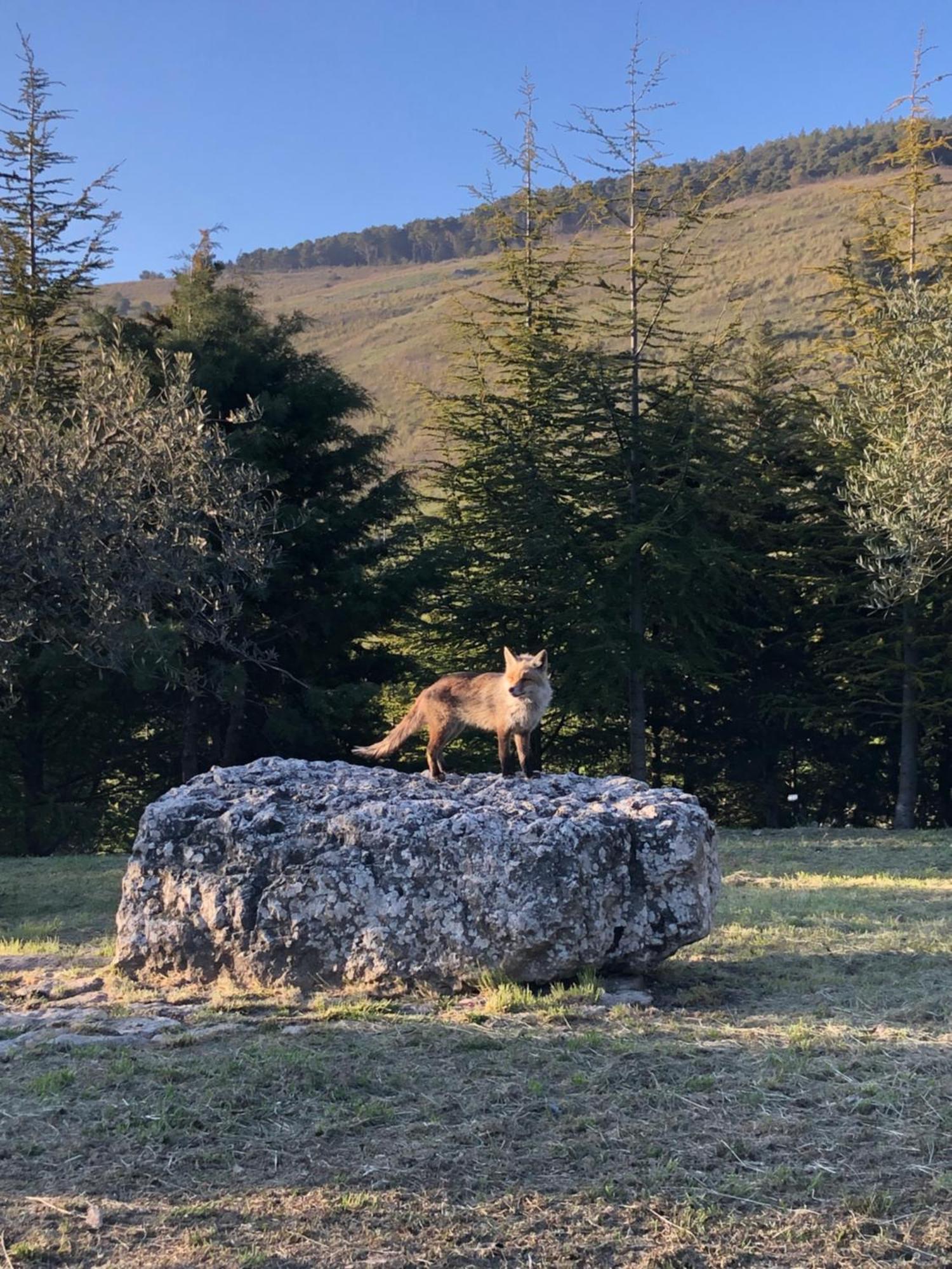 Agriturismo Serra Moneta Santo Stefano Quisquina 外观 照片
