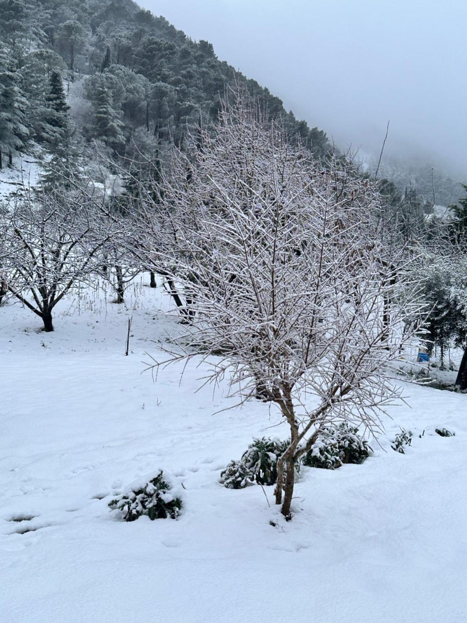 Agriturismo Serra Moneta Santo Stefano Quisquina 外观 照片